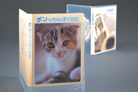 DVDトールケースカード使用イメージ