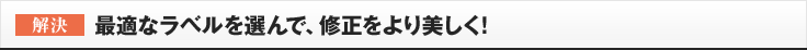 ［解決］最適なラベルを選んで、修正をより美しく!