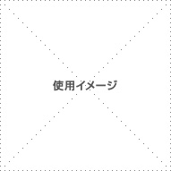 フォーマット図