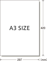 フォーマット図