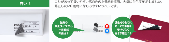 エーワン ラベルシール〈プリンタ兼用〉 マット紙 ノーカットタイプ 31151 1000枚 - 20