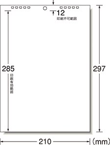 フォーマット図