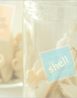 透明フィルムタイプ