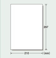 210mm×297mm