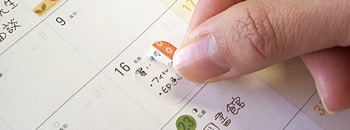 フレックスメモシール