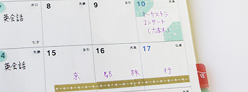 フレーム&ラインマークシール